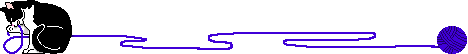 cat string gif